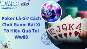 Poker Là Gì? Cách Chơi Game Bài Xì Tố Hiệu Quả Tại Ww88